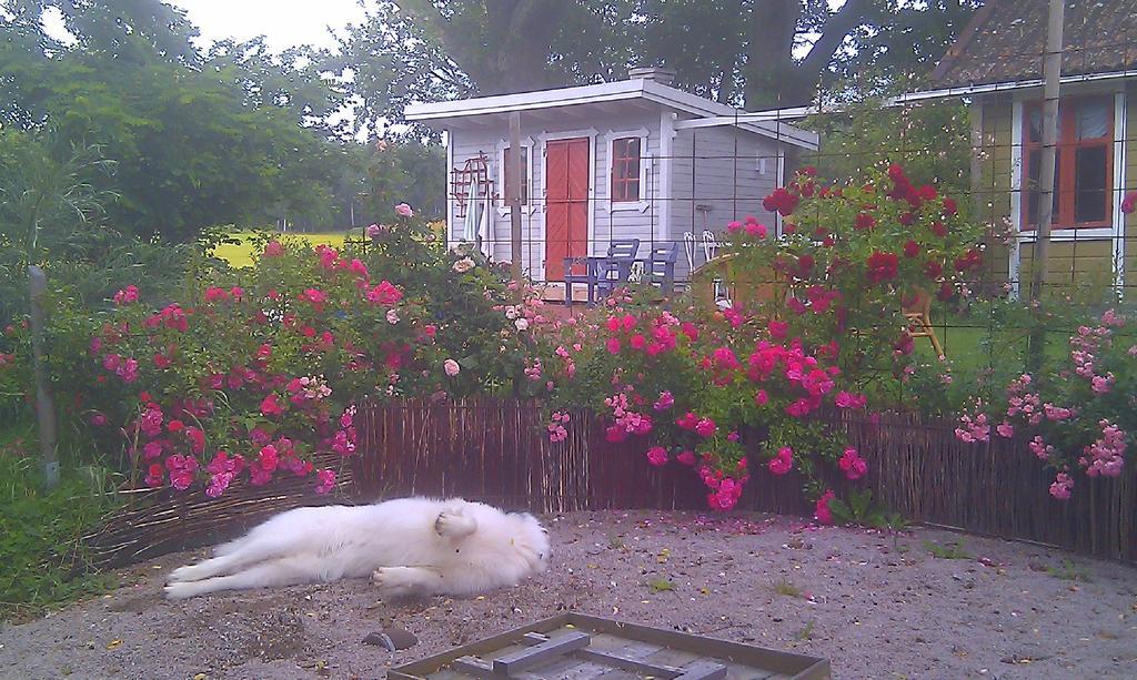 Borakra Bed & Breakfast Karlskrona Dış mekan fotoğraf